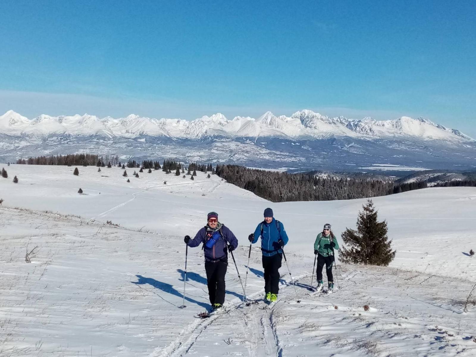 Penzion Plesnivec Poprad Dış mekan fotoğraf