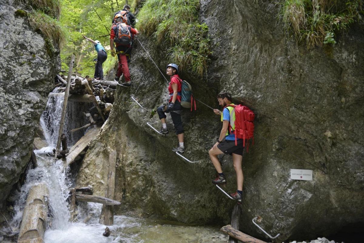 Penzion Plesnivec Poprad Dış mekan fotoğraf