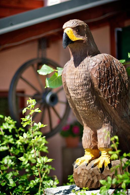 Penzion Plesnivec Poprad Dış mekan fotoğraf