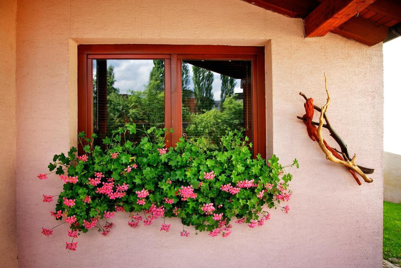 Penzion Plesnivec Poprad Dış mekan fotoğraf